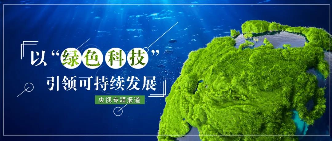 盛虹.jpg